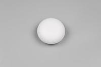 Trio Witte wandlampDavey Ø 15cm - R24431131 - thumbnail