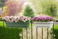 Elho Vibia campaba trough 70 pistachio green - thumbnail