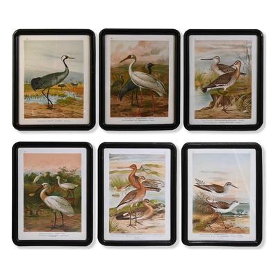 Schilderij DKD Home Decor Kristal Hout MDF Vogels (40 x 50 x 1,8 cm) (6 Stuks)
