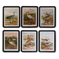 Schilderij DKD Home Decor Kristal Hout MDF Vogels (40 x 50 x 1,8 cm) (6 Stuks) - thumbnail