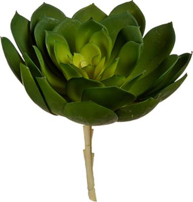 Decoratieve plant Groen Plastic