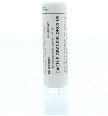 Homeoden Heel Cactus grandiflorus D6 6 Gram Homeoden Heel Cactus grandiflorus D6 6 Gram