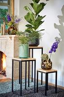 Mica Decorations Oskar Planttafel M - thumbnail