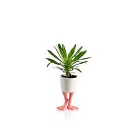 Bloempot Met Flamingopoten - Klein - thumbnail