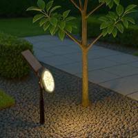 Solar spot sunny dual white tuinspot met grondspies - thumbnail