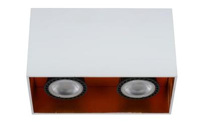 Lucide BIDO - Plafondspot - 2xGU10 - Wit