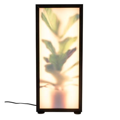 Zuiver Vloerlamp 'Grow' Vioolbladplant, 60cm Zuiver Vloerlamp 'Grow' Vioolbladplant, 60cm