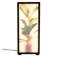 Zuiver Vloerlamp 'Grow' Vioolbladplant, 60cm - thumbnail