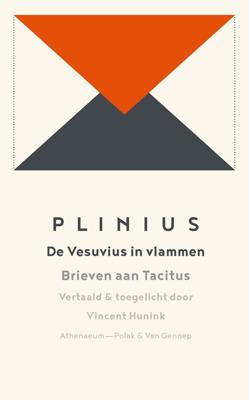 De Vesuvius in vlammen - Plinius - ebook