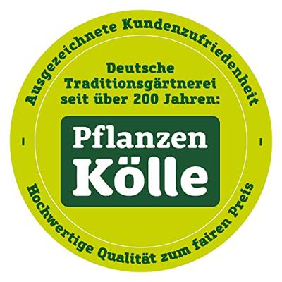 Gimeg Prik cartouche 190 gram