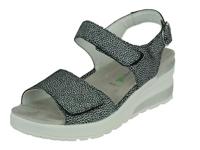 Waldlaufer Claudia - thumbnail