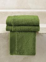 De Witte Lietaer De Witte Lietaer gastendoek Excellence 40x60 cactus - thumbnail