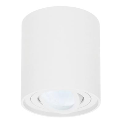 Ronde LED Opbouwspot Ray - 4 Watt 345 Lumen - 6500K daglicht wit - Kantelbaar - GU10 - Opbouwspot - IP20 Voor binnen - Wit - Dimbaar Ronde LED Opbouwspot Ray - 4 Watt 345 Lumen - 6500K daglicht wit - Kantelbaar - GU10 - Opbouwspot - IP20 Voor binnen - Wit - Dimbaar