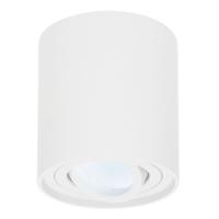 Ronde LED Opbouwspot Ray - 4 Watt 345 Lumen - 6500K daglicht wit - Kantelbaar - GU10 - Opbouwspot - IP20 Voor binnen - Wit - Dimbaar - thumbnail