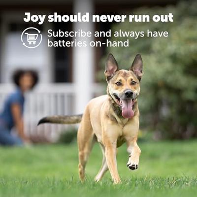 PETSAFE 6 V batterijmodule voor ketting - voor kat en hond