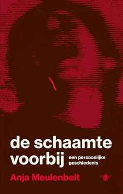 De schaamte voorbij - Anja Meulenbelt - ebook De schaamte voorbij - Anja Meulenbelt - ebook