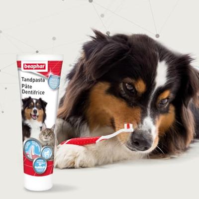 Beaphar Tandpasta voor hond en kat 2 Tubes - thumbnail