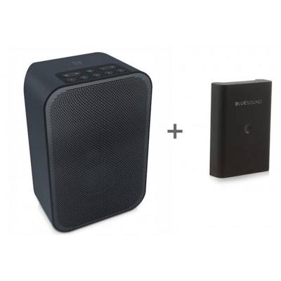 Bluesound Combi Deal pulse flex 2i + accu - Zwart