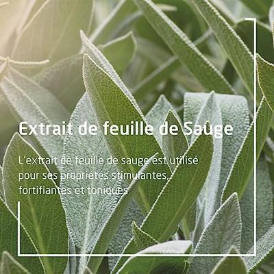 Weleda Oral care tandvlees balsem 30 Milliliter Weleda Oral care tandvlees balsem 30 Milliliter