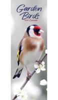 Garden Birds Kalender 2026 Slimline - thumbnail