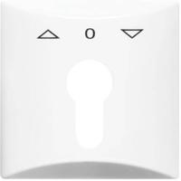 Busch-Jaeger 2CKA001710A1829 Sleutelschakelaar, Sleuteltoets Afdekking Allweather 44 (IP44) Wit, Zuiver wit (RAL 9010) 1 stuk(s) - thumbnail