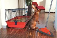 Vileda 1469 Superfeger Classic mit Teleskopstiel Bezem 1 stuk(s) - thumbnail