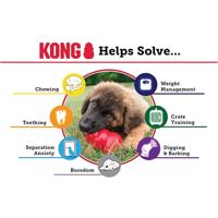 Hondenspeelgoed rubber large zwart Kong - Kong - thumbnail
