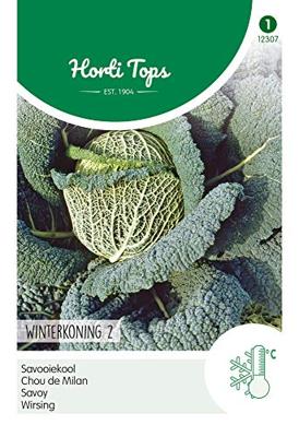 Savooiekool Winterkoning 2 - Hortitops