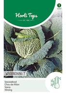 Zaden Savooiekool Winterkoning 2 Hortitops - Hortitops - thumbnail