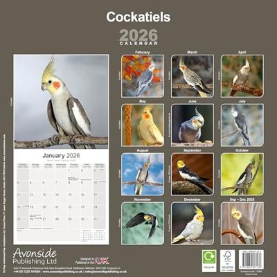 Valkparkieten Kalender 2026