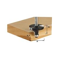 Festool HW S8 D25,5/R6,35 KL Freesbit Afrondfrees + lager S 8mm 25,5x13,50mm R6,35 - 491013 - thumbnail