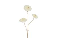 Countryfield calendula vivaldi 78 cm creme - thumbnail