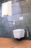 Toiletbeugel Sapho Opklapbaar 60x15.3 cm RVS Sapho - thumbnail