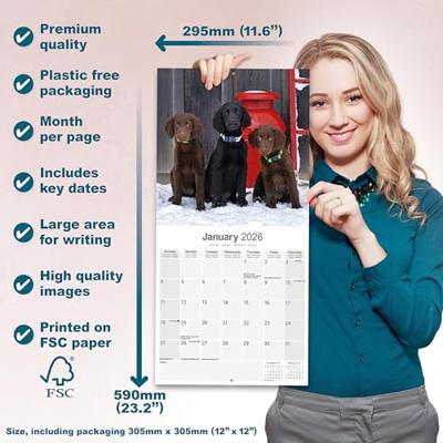 Flatcoated Retriever Kalender 2026