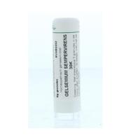 Gelsemium sempervirens 30K - thumbnail