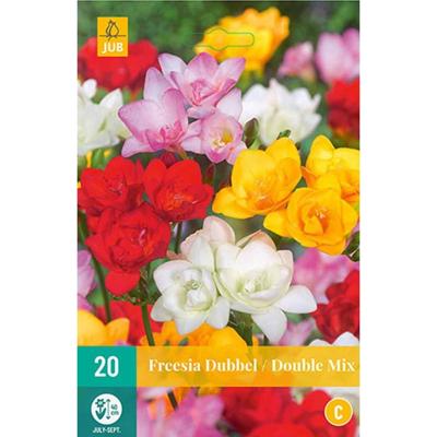 Freesia dubbel mix 20 bollen Freesia dubbel mix 20 bollen