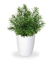 Crossostephium kunst vetplant in plastic pot 28cm - thumbnail