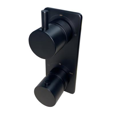 Inbouwthermostaat BWS Caral 2-weg Rond Mat Zwart