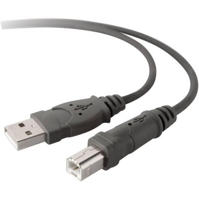 Belkin F3U133b10 USB-kabel USB 2.0 USB-A stekker, USB-B stekker 3.00 m Grijs