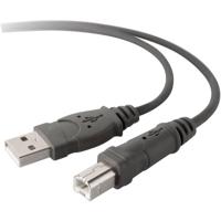 Belkin F3U133b10 USB-kabel USB 2.0 USB-A stekker, USB-B stekker 3.00 m Grijs - thumbnail