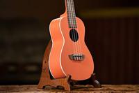 Ortega RUPUKI Earth Series Concert Size Ukulele Pumpkin Orange concert ukelele - thumbnail