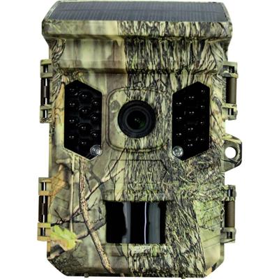 Braun Phototechnik Scouting Cam Black300 WiFi Solar 4K Mini Wildcamera Black LEDs, WiFi, Timelapsevideo Camouflage groen Braun Phototechnik Scouting Cam Black300 WiFi Solar 4K Mini Wildcamera Black LEDs, WiFi, Timelapsevideo Camouflage groen