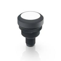 RAFI 1.10.011.001/0221 RAMO 22 T Druktoets 35 V/DC 0.1 A Moment (l x b x h) 40 x 29.8 x 29.8 mm 1 stuk(s) - thumbnail