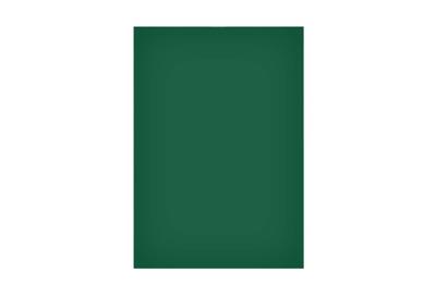 Magneetvel maul 200x300mm groen | 50 stuks