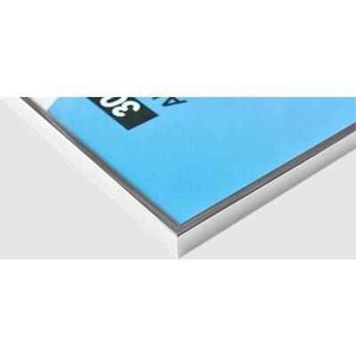 Nielsen Fotolijst 52123 Accent Glanzend Zilver 21x29,7 cm