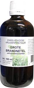Grote Brandnetel