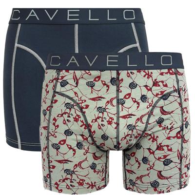 Cavello boxershorts 2-pack grijs print & blauw