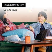 Sony SRS-XB100 Bluetooth speaker Oranje - thumbnail