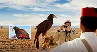 Panasonic DMC-TZ70EG-K compacte systeemcamera (12,1 megapixel) zwart - thumbnail