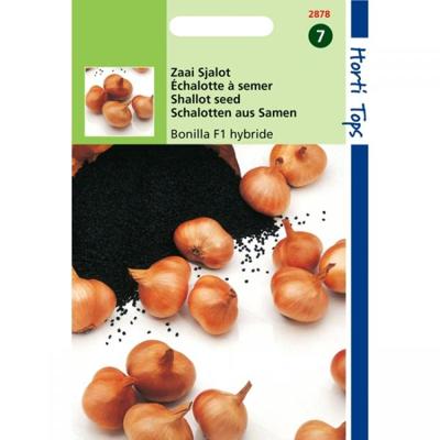 Zaden Sjalot Bonilla vhCreation F1 Hortitops - Hortitops